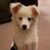 Tami Hoyem's profile image
