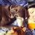 Jess Dickie's profile image