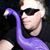 Peter Furnée's profile image