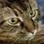 Carol Root Walker's profile image