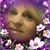 Debbie Kadash Kautz's profile image