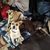 Kristin Ertl-Novick's profile image