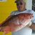Bob Honaker's profile image