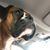 Janis Dobson-Macey's profile image