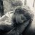 Jessica P.'s profile image