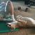 Nicole Purcell's profile image