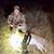 Liz M. Ramon's profile image