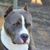 Sheri Lynne Raper's profile image