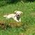 Sherri L Johnson's profile image