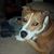 D.j. Ray's profile image
