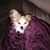 Debb Jones's profile image