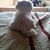 Gwenn Scalyer Mcfalls's profile image