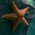 Christina DeBord's profile image