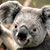 Doreen Mcwilliams's profile image