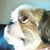 Shauna Keir Johns's profile image