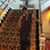 Shirley Parrish's profile image