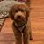 Jackie Lefebvre's profile image
