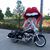 Brian Woollard's profile image