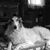 Jacqueline Findlay Nadeau's profile image