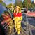Misty Moquin Renner's profile image