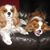 Barbara Lynn Reynolds Musso's profile image
