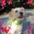 Barbra Winston's profile image