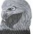 Joe Dyer's profile image