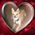 Ellen Smith's profile image
