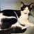 Karla Woodall's profile image