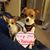 Chrissy Ristow's profile image