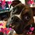 Natalie Hancock's profile image