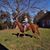 Joy Punky Davis's profile image