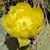 Linda Matarazzo Cherkassky's profile image