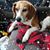Robert Clark Jr.'s profile image