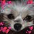 Lynn Taylor's profile image
