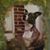 Charlie Poncar's profile image