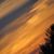 Leah Lance Hulzebos's profile image