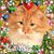 Louie Bettinger's profile image