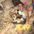 Barb Kurkowski Simmons's profile image