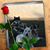 Lynn Giannone's profile image