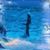 Terri Bachman Ayres's profile image