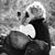 Debie Starr Runyan's profile image