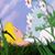 Correen Elizabeth's profile image