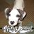 Granville Burchardt's profile image