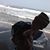 Juan Carlos Ceron Juarez's profile image