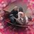 Melinda Rimini's profile image