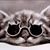 Sherry April Crosslin's profile image