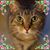 Alexandra Eidson's profile image