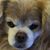 Betty Ann Middlebrooks's profile image