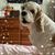 Barb Borges's profile image